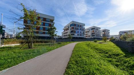 Baldenau residential area with path and houses