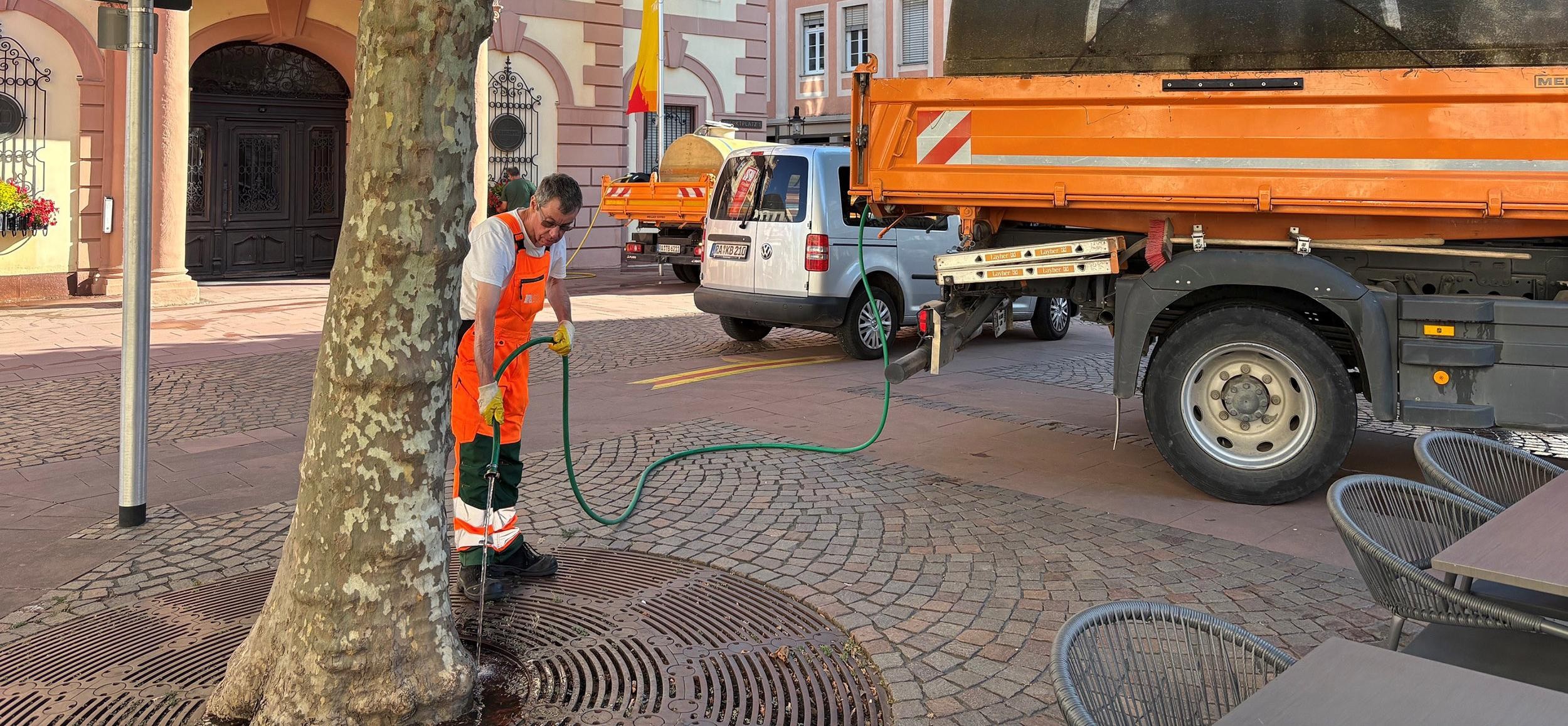 Mann gießt Baum