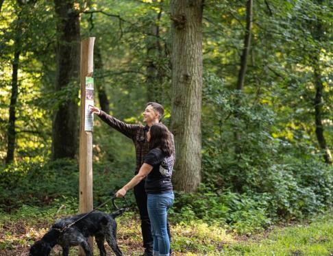 Wald-Spaziergänger mit Hund an Infotafel