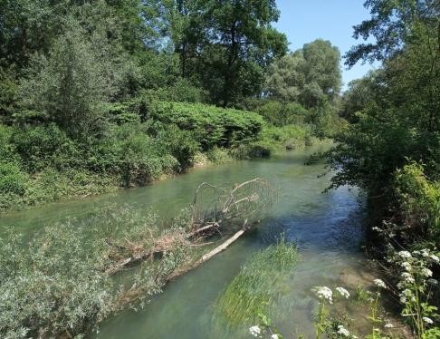 Blick auf die Rheinauen