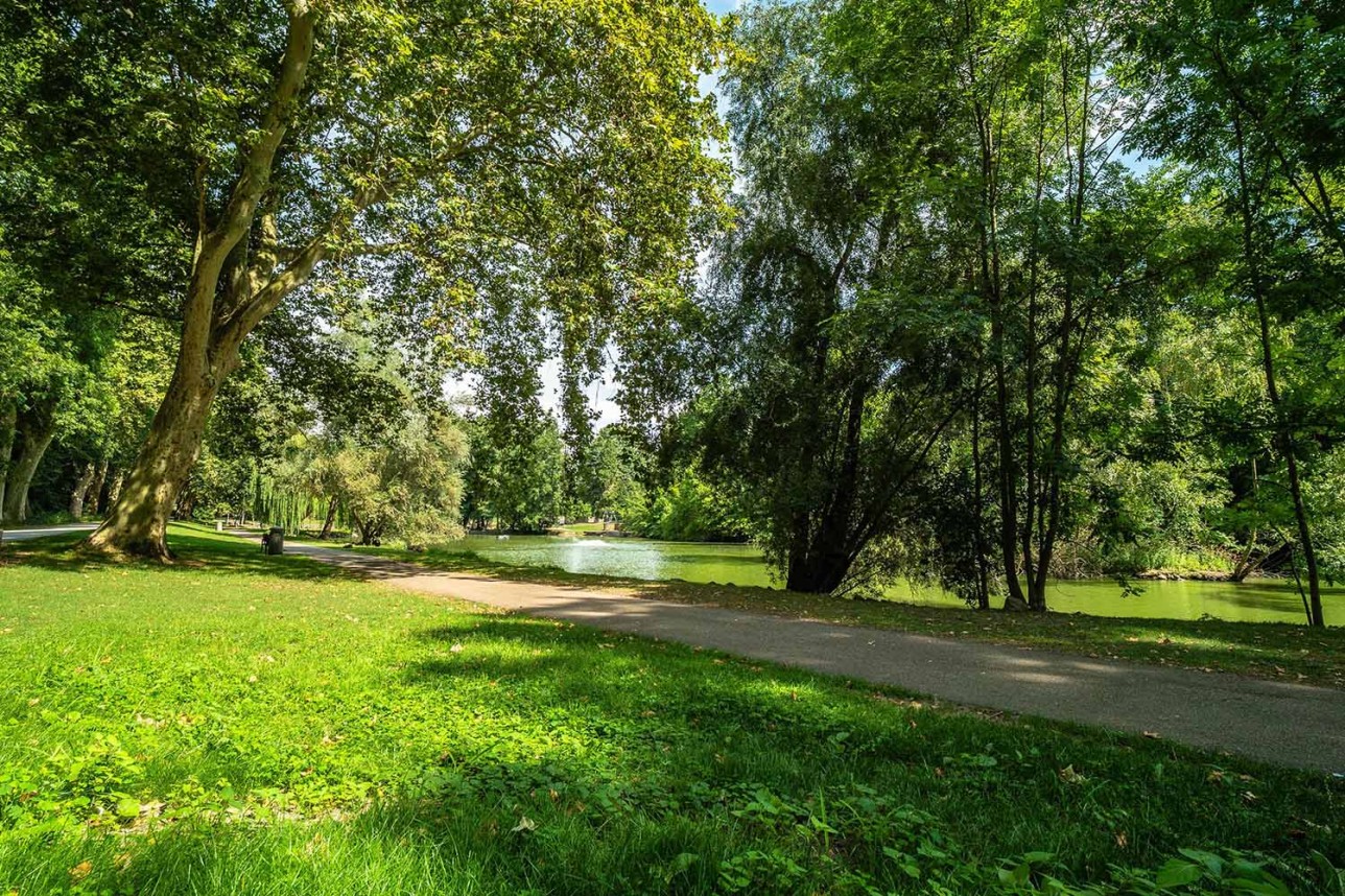 City park with green meadow and trees