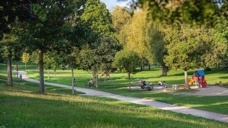 grüner Park