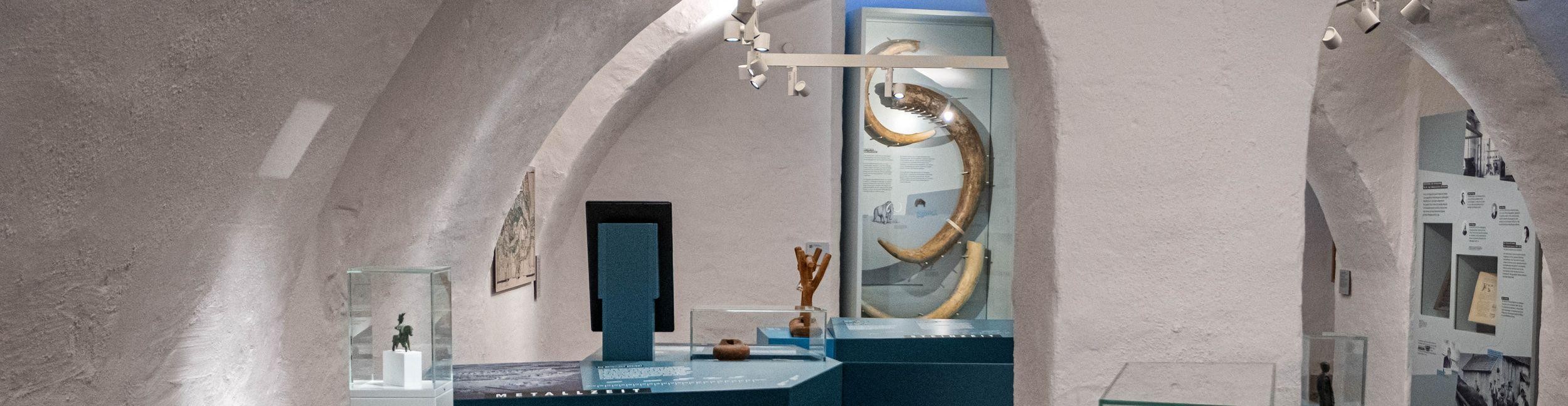 Permanent exhibition on prehistory and early history: Mammoth tusks are displayed in a showcase.