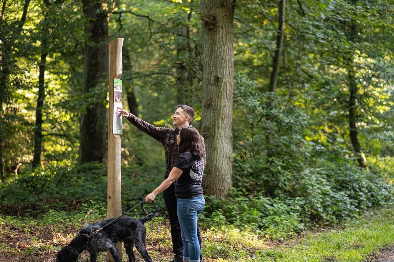 Deux promeneurs en forêt avec leur chien se tiennent devant un panneau d'information.
