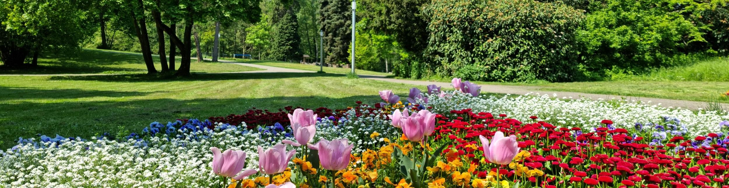 Stadtparks Blumenbeet im Vordergrund mit dem Park im Hintergrund