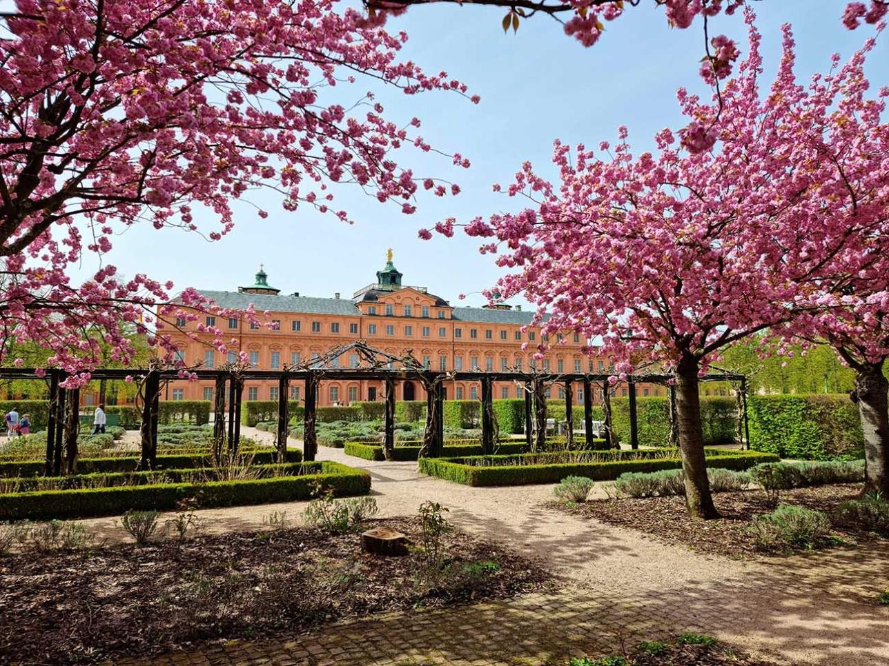 Der Schlossgarten in der Blütezeit