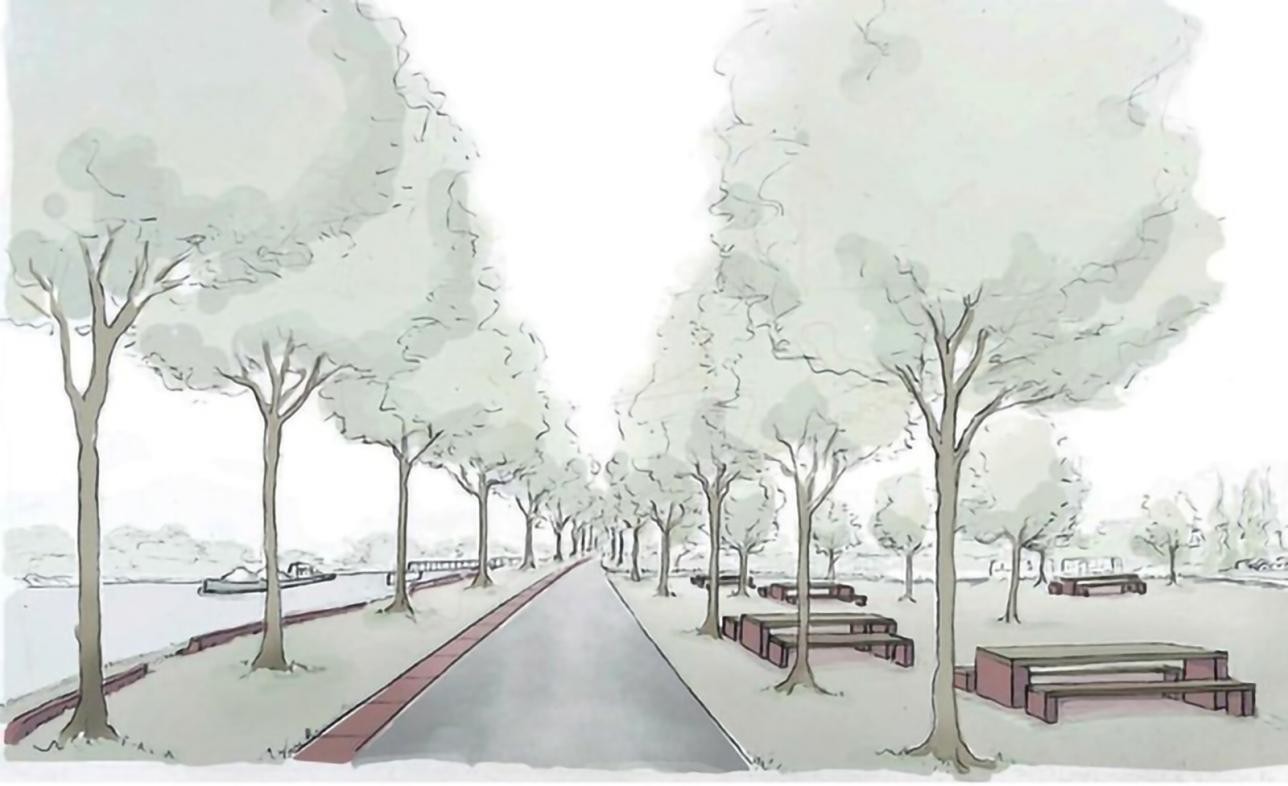 Zeichnung neues Ufer Rheinpromenade in Plittersdorf. Bäume säumen einen Weg mit Bänken am Rand.