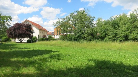 Meadow with house and many trees