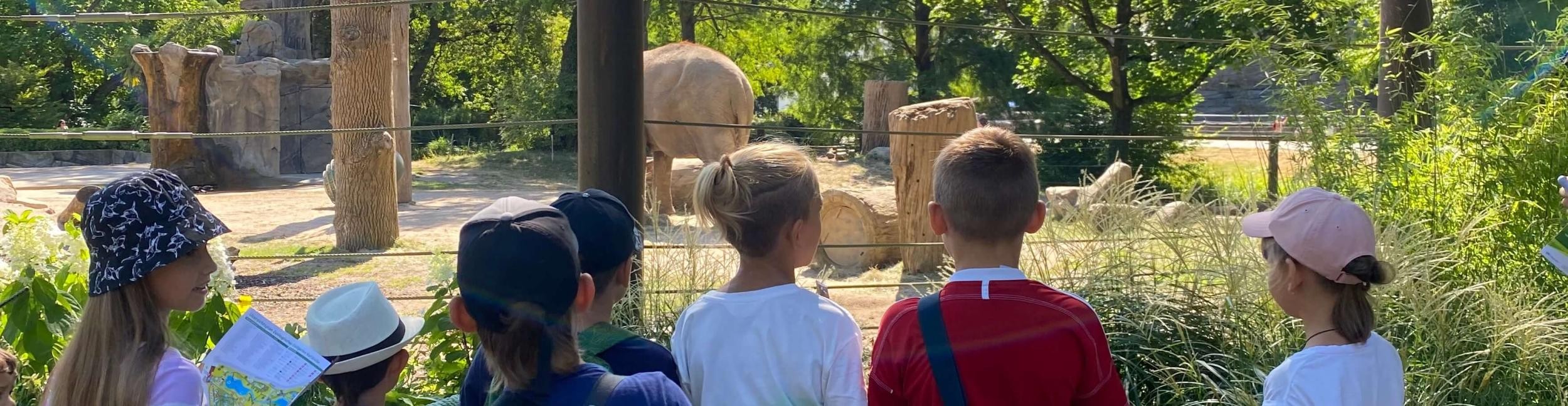 Foto: Stadt Rastatt/Eleonora Gafele Bild eines Hilfekoffers mit einem Roten-Kreis-Symbol