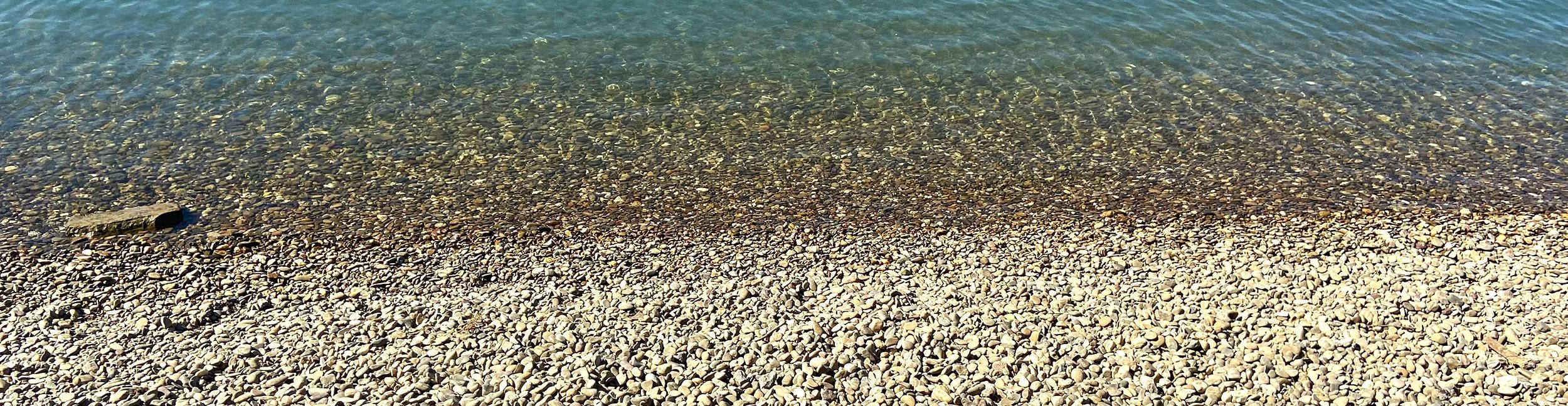 Schatz der Aue: der Kies. Foto: Stadt Rastatt/Veronika Öder Kies am Rhein in Plittersdorf