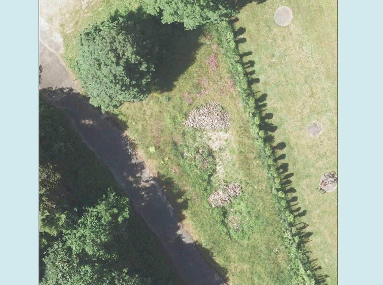 Reptilienlebensraum am Philosophenweg in Rastatt. Foto: Stadt Rastatt Reptilienlebensraum am Philosophenweg in Rastatt