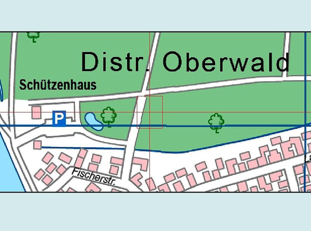 Karte Amphibiengewässer Oberwald Karte Amphibiengewässer Oberwald