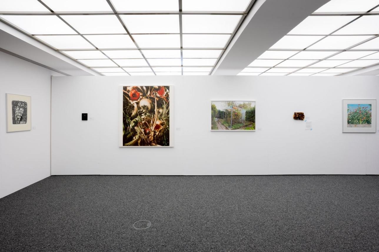 Die neue Ausstellung in der Fruchthalle „Gathering Moss on worm-like Grounds“ untersucht die vielschichtigen Verbindungen zwischen Kunst, Natur und Ökologie und verknüpft diese mit einer regionalen Perspektive. Foto: Karolina Sobel Blick in die neue Ausstellung in der Fruchthalle „Gathering Moss on worm-like Grounds“