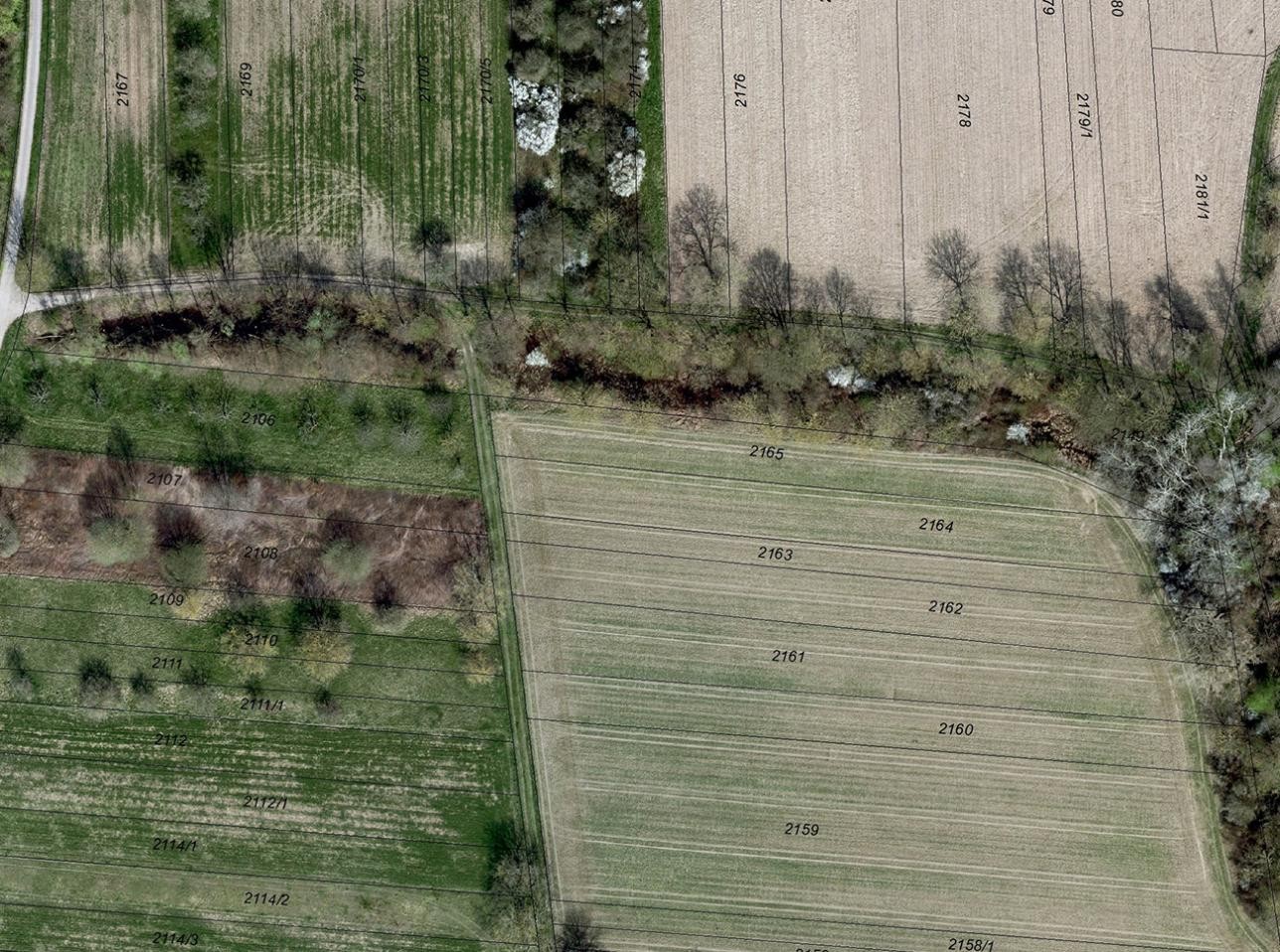 Luftaufnahme Amphibienlebensraum Rödern Luftaufnahme Amphibienlebensraum Rödern