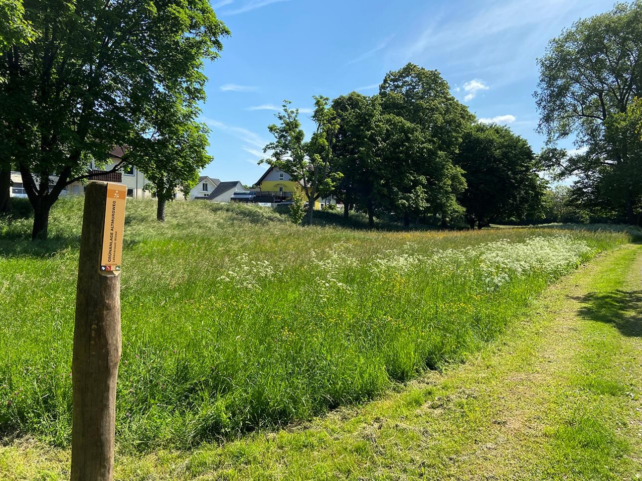 Wiese und Bäume in der Grünanlage Altmurgweg