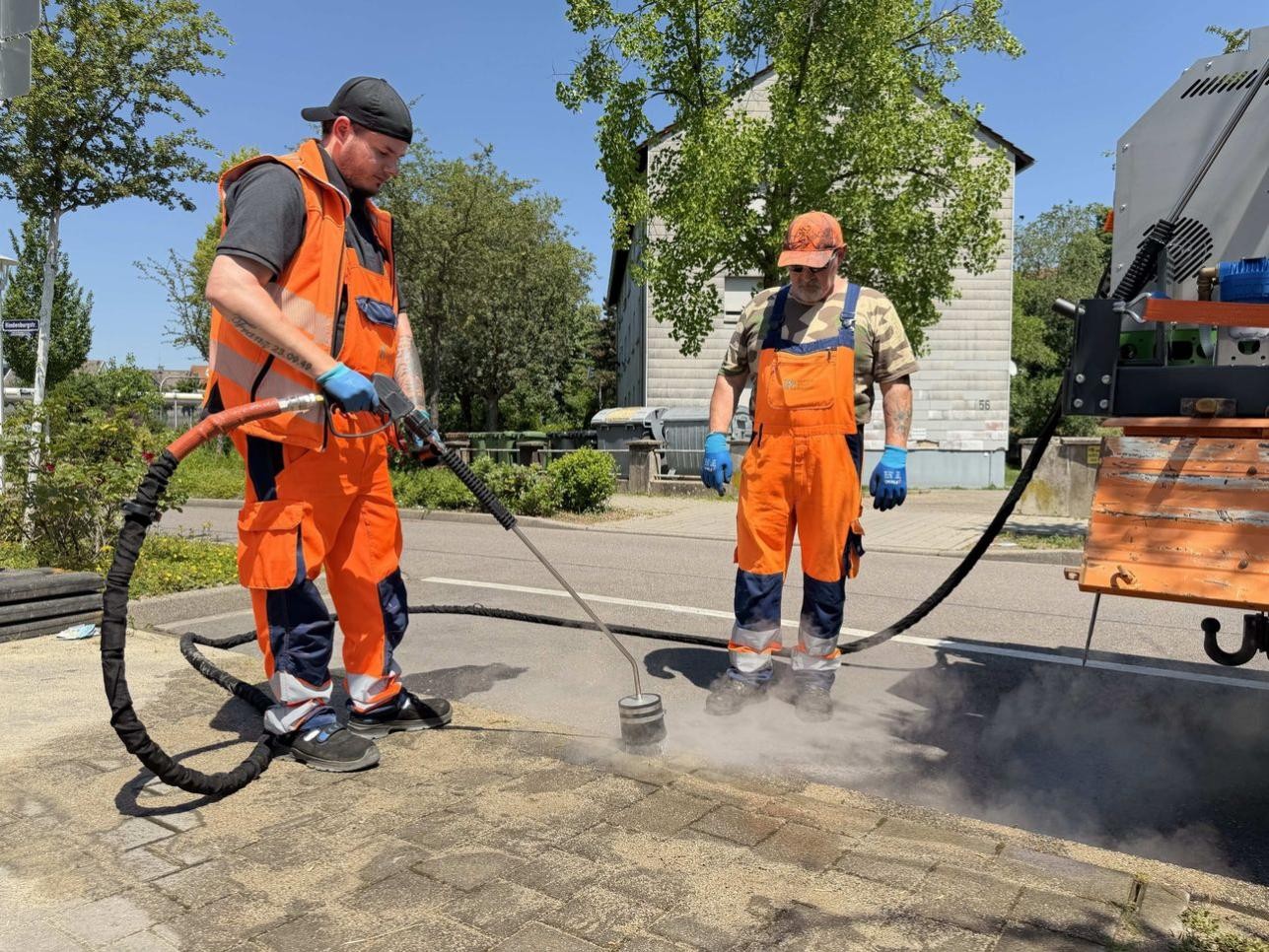 Mit einem Heißwasserdampfgerät versuchte die Stadt am Dienstag, 26. Mai, die Ameisenart Tapinoma magnum in ihrer Ausbreitung einzudämmen. Fotos: Stadt Rastatt/Samira Kaiser Mit einem Heißwasserdampfgerät versuchte die Stadt am Dienstag, 26. Mai, die Ameisenart Tapinoma magnum in ihrer Ausbreitung einzudämmen