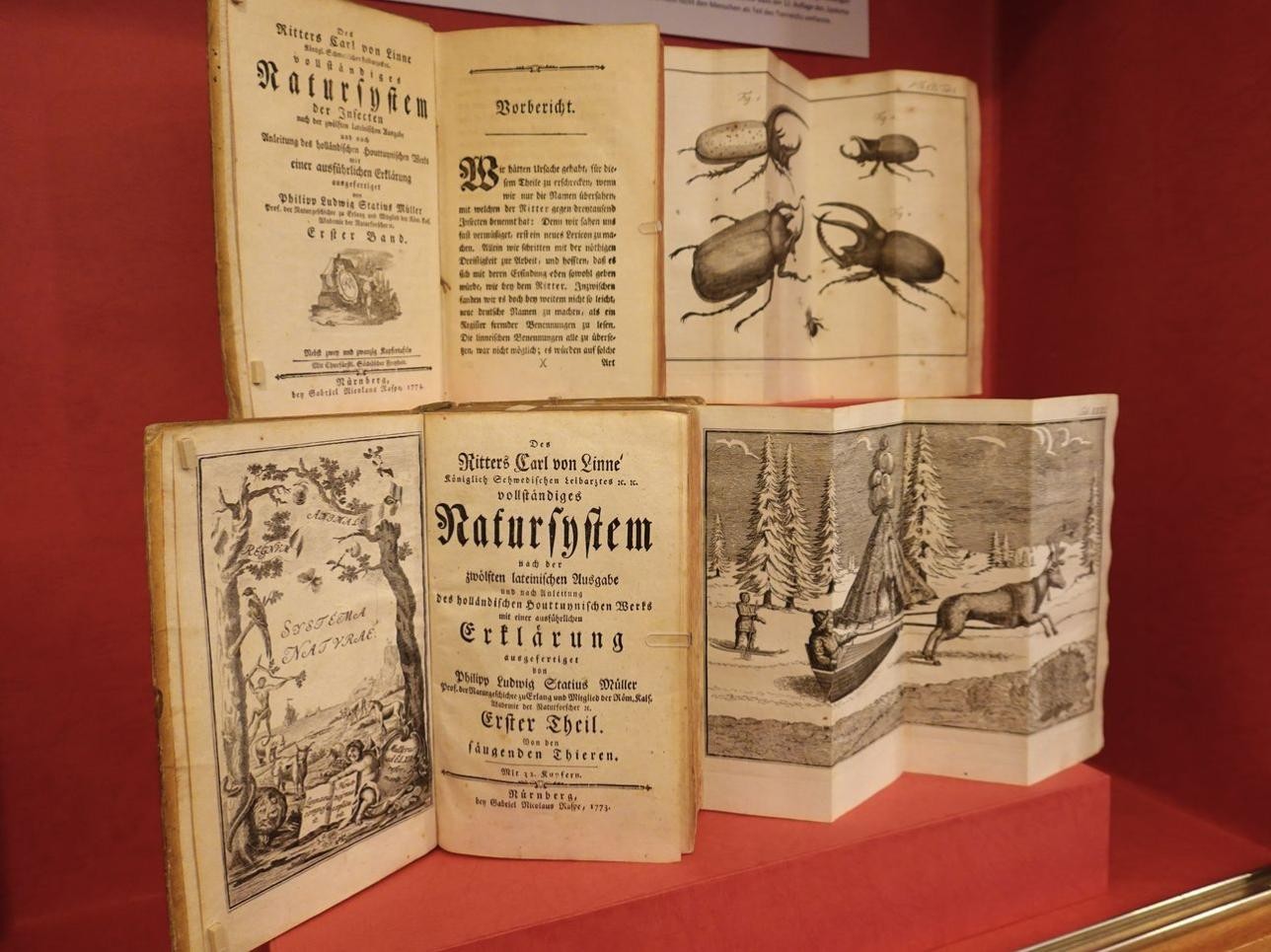 Zur Mittagspausenführung lädt die Historische Bibliothek Rastatt am 5. August ein. Foto: Ute Luber / Stadt Rastatt. „Die Erfindung der Natur. Illustrierte Naturbücher von Plinius bis zu Humboldt“.