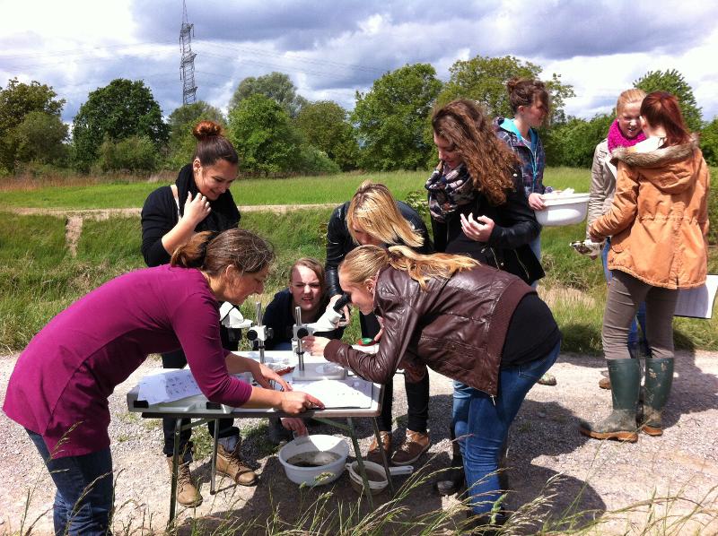 Foto Aktionsnachmittag des Ökomobils - Bild: Regierungspräsidium Karlsruhe