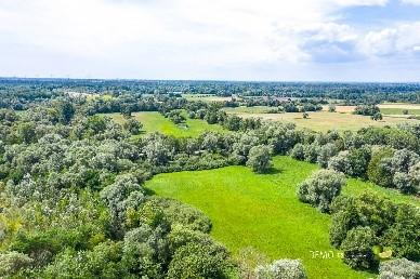 Blick ins Rastatter Bruch - Foto: Stadt Rastatt
