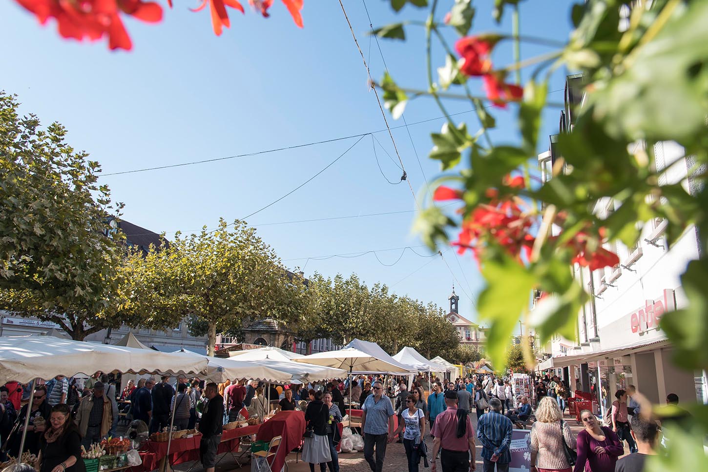 Bauernmarkt beim Verkaufsoffenen Sonntag im Herbst. Foto: Paul Gärtner Bauernmarkt beim Verkaufsoffenen Sonntag im Herbst